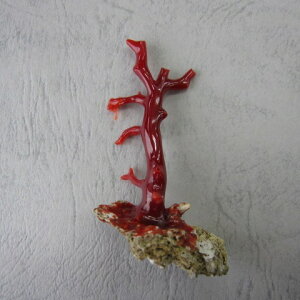 {EmYԎX }p[c  y u  w΃TSx X荥 җ a j   3̒a Mtg v[g 35N XEl