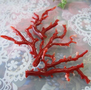 {EmYԎX }p[c  w΃TSx X荥 җ a j   3̒a Mtg v[g 35N XEl