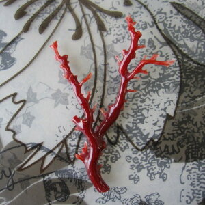 {EmYԎX }p[c  w΃TSx X荥 җ a j   3̒a Mtg v[g 35N XEl