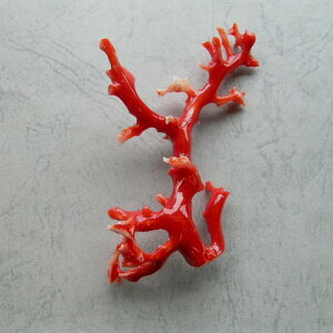 日本・高知産赤珊瑚 枝パーツ 手作り 『宝石サンゴ』 珊瑚婚 還暦 誕生日 御祝 厄除 御守 3月の誕生石 ギフト プレゼント 結婚35周年 珊瑚職人