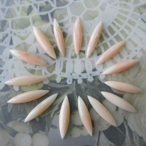 ~bhX }[LX^p[ci1j  |pi w΃TSx X荥 җ a j   3̒a Mtg v[g 35N XEl