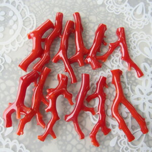 {EmYԎX }p[c  VR w΃TSx X荥 җ a j   3̒a Mtg v[g 35N XEl