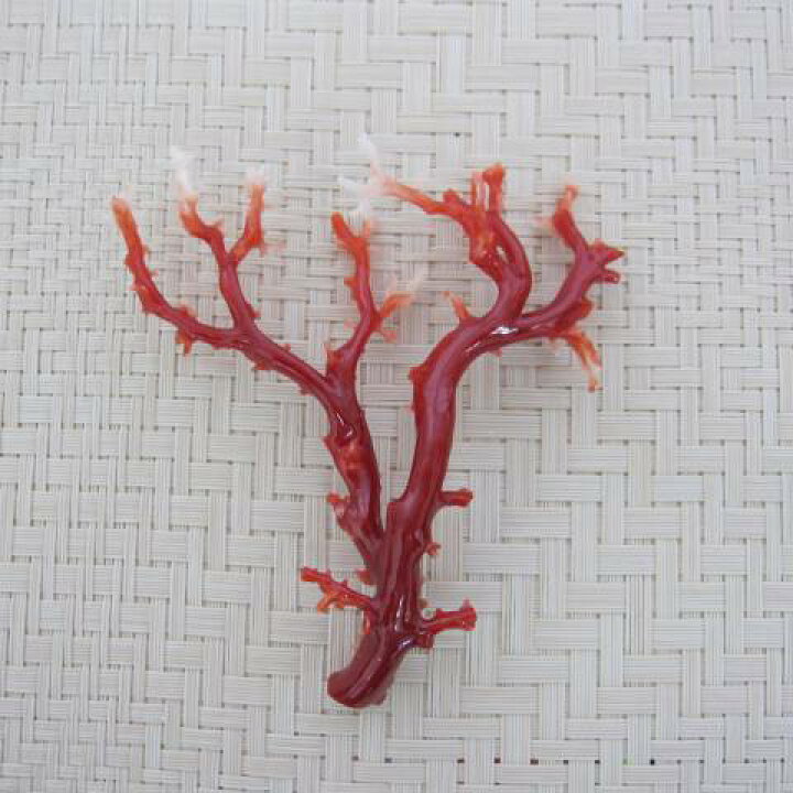 日本 高知産赤珊瑚の枝パーツ