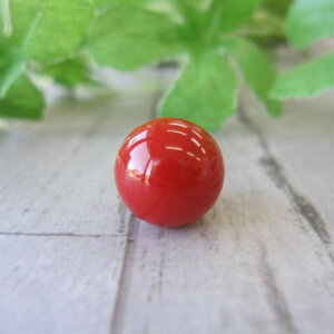 y󏭁z {EmY ԁijX ۋʃ[X i11.5~j p[c  w΃TSx X荥 җ a j   3̒a Mtg v[g 35N XEl