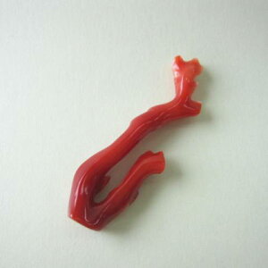 {EmYԎX }p[c  w΃TSx X荥 җ a j   3̒a Mtg v[g 35N XEl