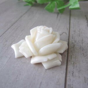 X KN̒p[c  IWi w΃TSx X荥 җ a j   3̒a Mtg v[g 35N XEl