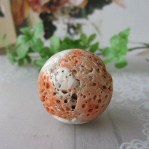 X yʁz ʂ̃p[c ia38~j ђʌ w΃TSx X荥 җ a j   3̒a Mtg v[g 35N XEl