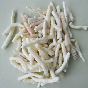 ~bhX i`Ȏ}p[c.  i100gjVRR[ w΃TSx X荥 җ a j   3̒a Mtg v[g 35N XEl