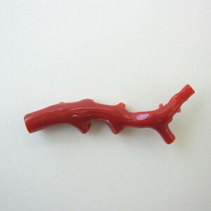 {EmYԎX }p[c  VR w΃TSx X荥 җ a j   3̒a Mtg v[g 35N XEl