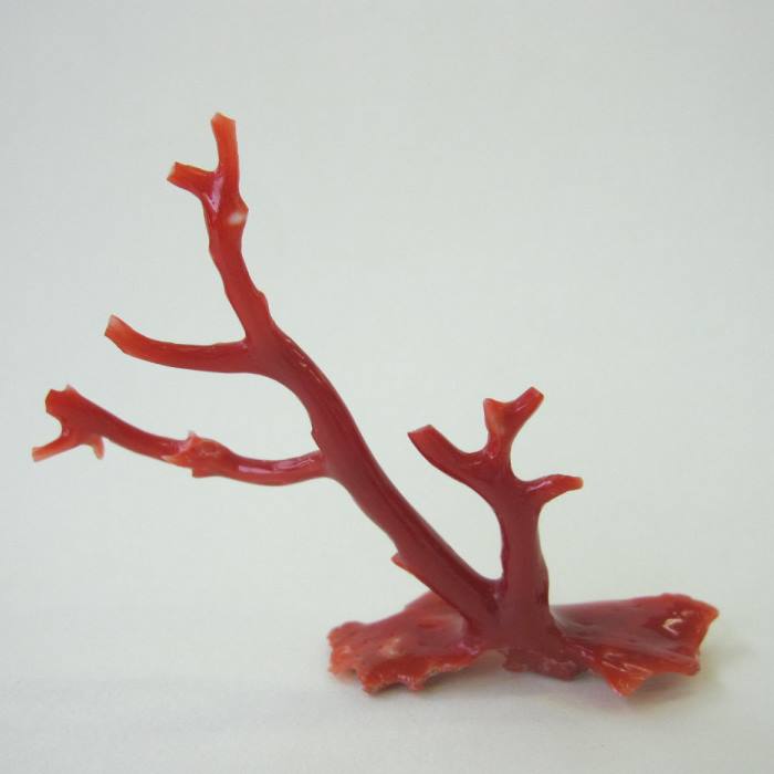 品質至上【有名な】 日本・高知産赤珊瑚 枝パーツ 手作り 天然 『宝石