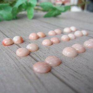 sNX Eh yAp[c i2Rj ia6.3`8.3~j  ANZ w΃TSx X荥 җ a j   3̒a Mtg v[g 35N XEl