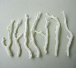 X i`}p[c i1{j VRR[ ΃TS X荥 җ a j   3̒a Mtg v[g 35N XEl