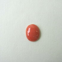 楽天市場】珊瑚 ルースの通販