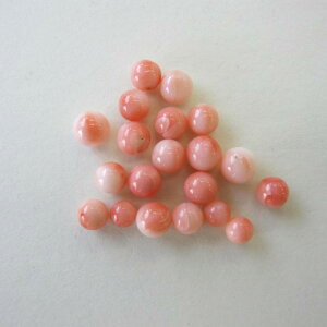 sNX ۋ p[c. (20Zbg) 3.5`5~ Ȃ r[Y w΃TSx X荥 җ a j   3̒a Mtg v[g 35N XEl