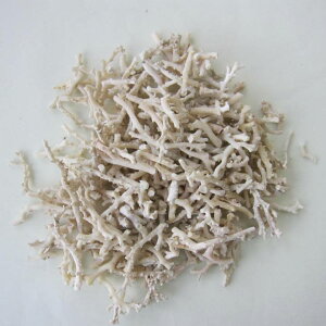 ~bhijX  1Zbg.i375gj  w΃TSx ANZT[ޗ ΃TS X荥 җ a j   3̒a Mtg v[g 35N XEl