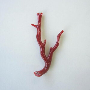 { mYԎX }p[c  [X VR ΃TS X荥 җ a j   3̒a Mtg v[g 35N XEl