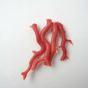 X }p[c i1{j VR R[ ΃TS X荥 җ a j   3̒a Mtg v[g 35N XEl