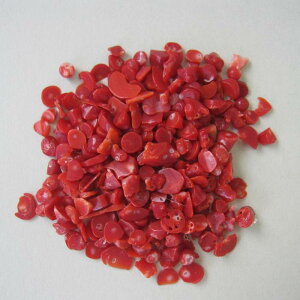 { mYԎX `bv  i37.5Oj ΃TS X荥 җ a j   3̒a Mtg v[g 35N XEl