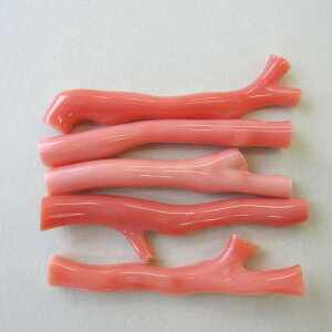 ピンク珊瑚 ナチュラル 枝パーツ (1本) コーラル 『宝石サンゴ』 珊瑚婚 還暦 誕生日 御祝 厄除 御守 3月の誕生石 ギフト プレゼント 結婚35周年 珊瑚職人