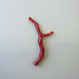 { mYԎX }p[c  [X VR ΃TS X荥 җ a j   3̒a Mtg v[g 35N XEl