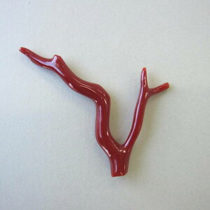 { mYԎX }p[c  [X VR ΃TS X荥 җ a j   3̒a Mtg v[g 35N XEl