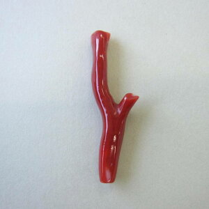 { mYԎX }p[c  w΃TSx X荥 җ a j   3̒a Mtg v[g 35N XEl