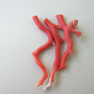 X }p[c i1{j VR R[ ΃TS X荥 җ a j   3̒a Mtg v[g 35N XEl