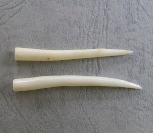 シナ珊瑚 可愛い 小枝パーツ (1個) 天然さんご・サンゴ 『宝石サンゴ』 珊瑚婚 還暦 誕生日 御祝 厄除 御守 3月の誕生石 ギフト プレゼント 結婚35周年 珊瑚職人