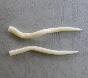 ViX }p[c i1j VR񂲁ETS w΃TSx X荥 җ a j   3̒a Mtg v[g 35N XEl