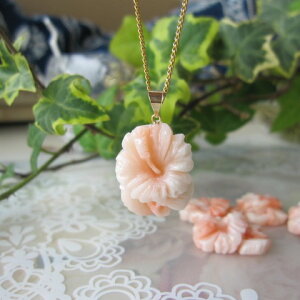 sNX  nCrXJX y_ggbv K18 w΃TSx X荥 җ a j   3̒a Mtg v[g 35N XEl