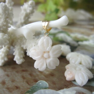 X ̉ԃy_ggbv K18 VRR[ w΃TSx X荥 җ a j   3̒a Mtg v[g 35N XEl