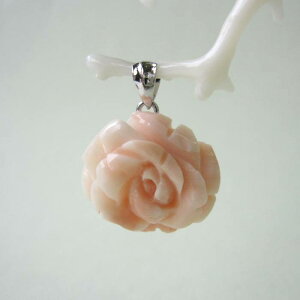 sNTS KN̉ y_ggbv m ΃TS X荥 җ a j   3̒a Mtg v[g 35N XEl