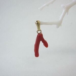 { mYԎX }̃y_ggbv ^J w΃TSx X荥 җ a j   3̒a Mtg v[g 35N XEl