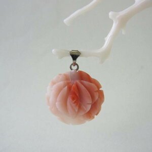 sNTS KN̉ y_ggbv m ΃TS X荥 җ a j   3̒a Mtg v[g 35N XEl