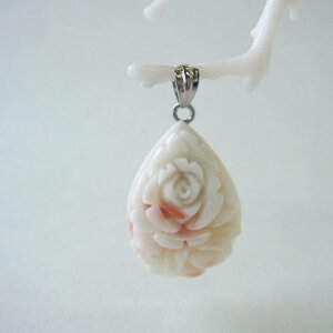 WsNX KN̉ hbv y_ggbv m ΃TS X荥 җ a j   3̒a Mtg v[g 35N XEl