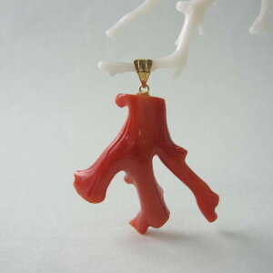 { mYԎX }̃y_gbv K18 w΃TSx X荥 җ a j   3̒a Mtg v[g 35N XEl