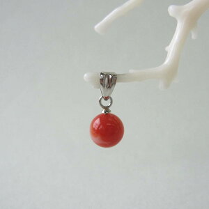 { mYԎX ۋʃy_ggbv i6.8~j Pt900 ΃TS X荥 җ a j   3̒a Mtg v[g 35N XEl