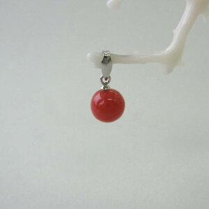 { mYԎX ۋʃy_ggbv i7~j Pt900 ΃TS X荥 җ a j   3̒a Mtg v[g 35N XEl