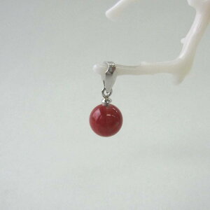 { mYԎX ۋ y_ggbv i6.4~j Pt900 w΃TSx X荥 җ a j   3̒a Mtg v[g 35N XEl