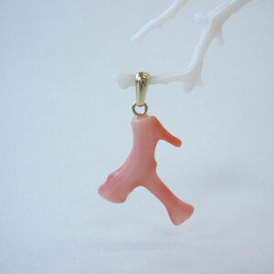 sNX }y_ggbv ^J VR ΃TS X荥 җ a j   3̒a Mtg v[g 35N XEl