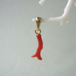 { mYԎX }̃y_ggbv ^J w΃TSx X荥 җ a j   3̒a Mtg v[g 35N XEl