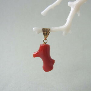 { mYԎX }̃y_gbv K18 ΃TS X荥 җ a j   3̒a Mtg v[g 35N XEl