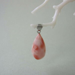 sNX hbv y_ggbv ^J ΃TS X荥 җ a j   3̒a Mtg v[g 35N XEl