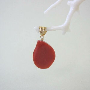 { mYԎX ό` y_ggbv K18 ΃TS X荥 җ a j   3̒a Mtg v[g 35N XEl