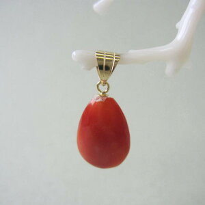 { mYԎX hbv y_ggbv K18 w΃TSx X荥 җ a j   3̒a Mtg v[g 35N XEl