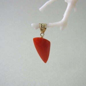 { mYԎX ό` y_ggbv K18 VRf w΃TSx X荥 җ a j   3̒a Mtg v[g 35N XEl