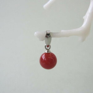 { mYԎX ۋ y_ggbv i6.2~j Pt900 w΃TSx X荥 җ a j   3̒a Mtg v[g 35N XEl