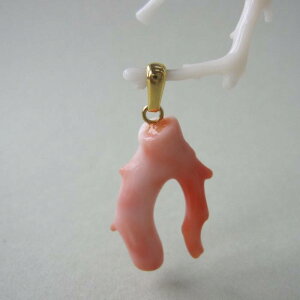 ピンク 珊瑚 ネックレス」の人気商品一覧 | 安い商品を通販サイトから 