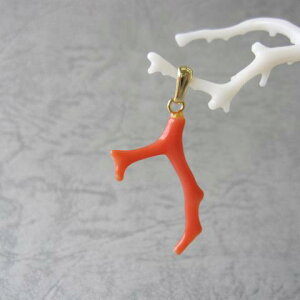 sNX } y_ggbv ^J VR ΃TS X荥 җ a j   3̒a Mtg v[g 35N XEl