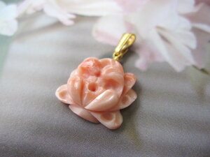 sN ẻԂ̃y_ggbv ^J w΃TSx X荥 җ a j   3̒a Mtg v[g 35N XEl